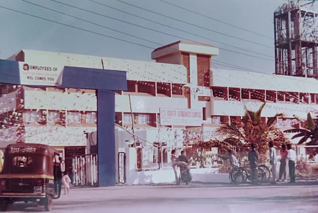 Laying The Roots (1984-2012)